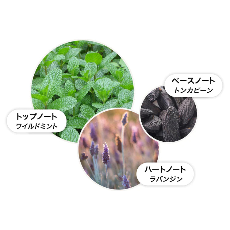 麥芽棕-野薄荷薰衣草淡香水 100ml(內容量)
