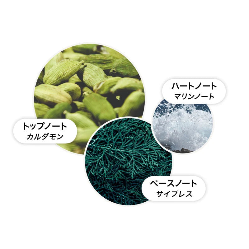 モルトブラウン-サイプレス&シーフェンネル アロマリード レフィル 150ml(内容量)