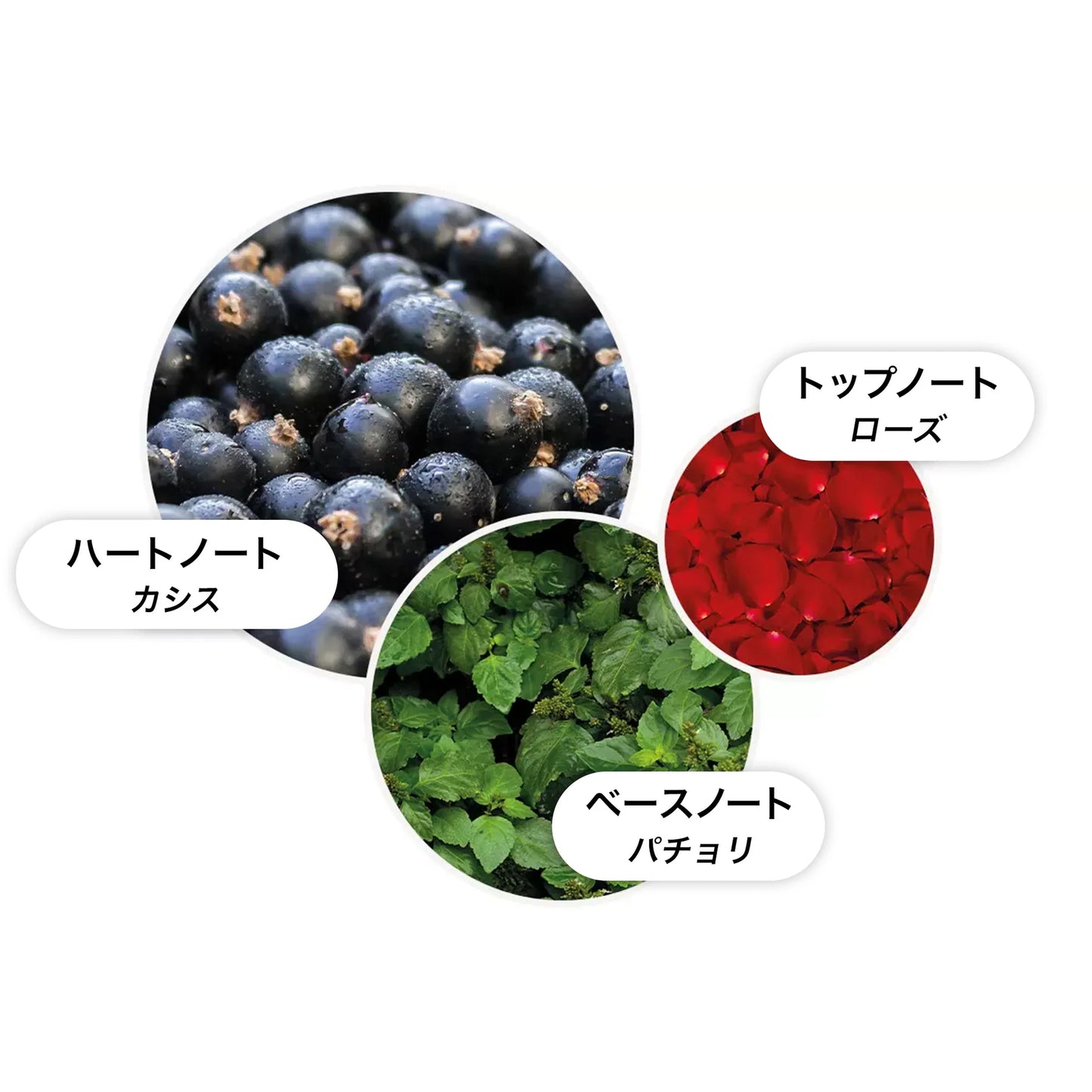 モルトブラウン-ローズデューン オードトワレ 100ml(内容量)