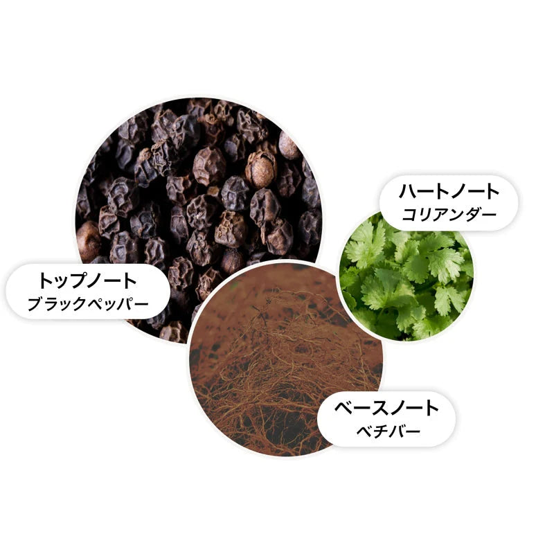モルトブラウン-ブラックペッパー アロマリード レフィル 150ml(内容量)