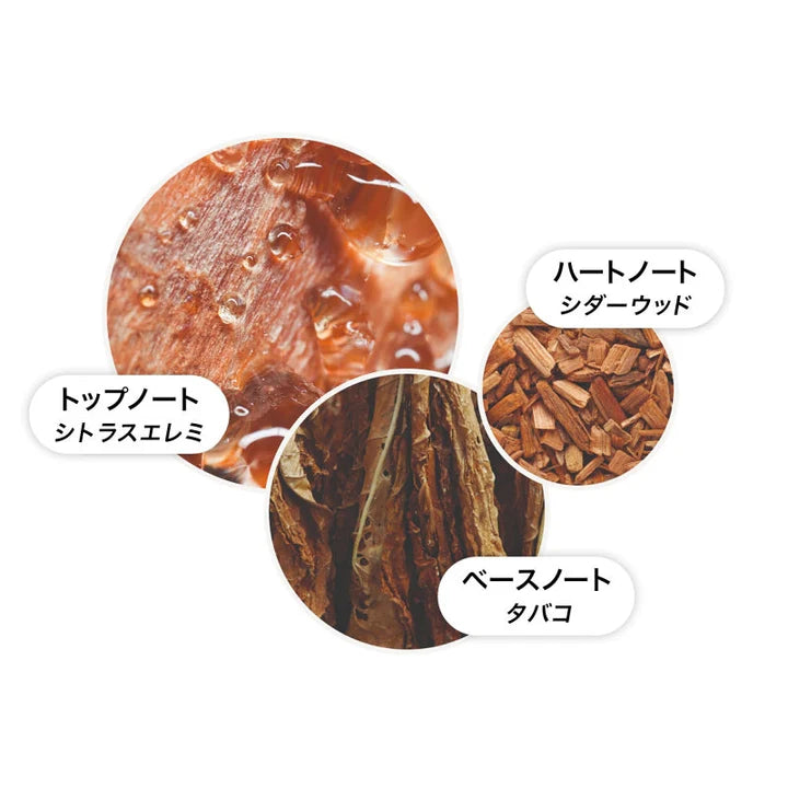 モルトブラウン-タバコアブソリュート オードトワレ 100ml(内容量)